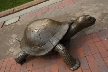 13. The Tortoise and the Hare - 3